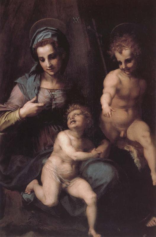 Andrea del Sarto Virgin Mary and Jeusu and John